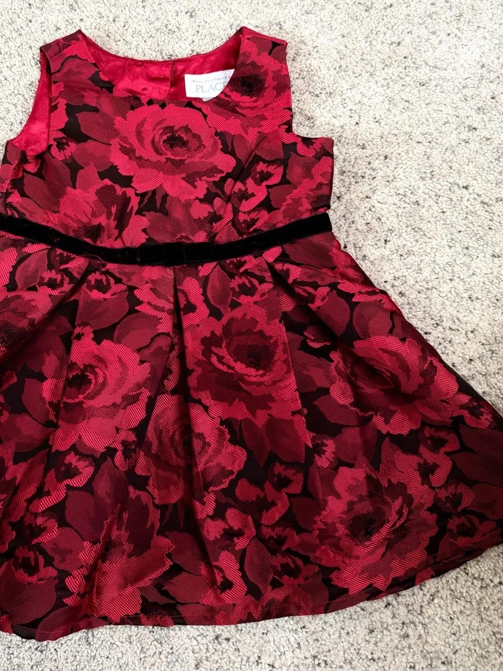 The Children's Place Red and Black Floral Velvet-Trim Dress